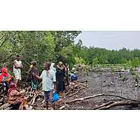 Mangrove Restoration Training - AU-IBAR Collaboration with KMFRI image